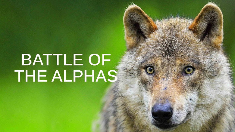 Battle of the Alphas 1